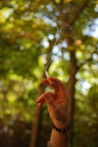 Cropped hand of woman holding lit cigarette against trees