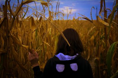 Plants growing on field