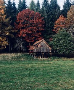 Built structure on field against trees in forest