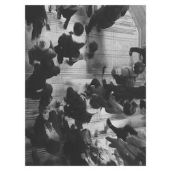 auto post production filter