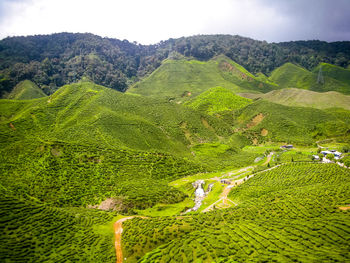 Landscape with mountain range in background