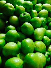 Full frame shot of green leaves