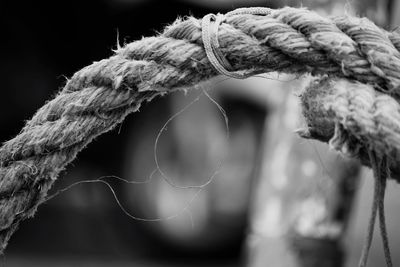 Close-up of rope