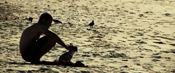 Silhouette of horse on beach