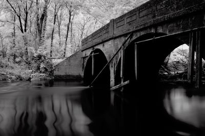 Arch bridge over lake in forest