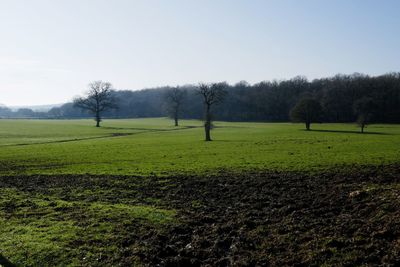 Scenic view of field against sky