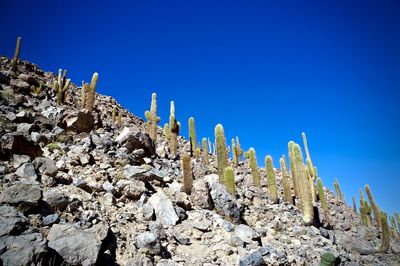 Low angle view of rocks against clear blue sky