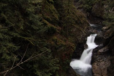 Scenic view of waterfall