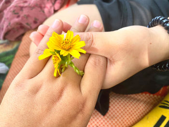 Close-up of hands holding yellow flower