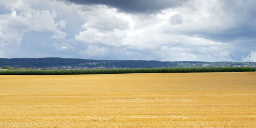 Scenic view of field against sky