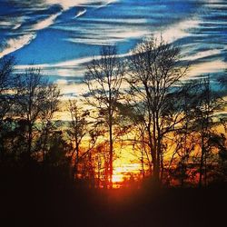 Bare trees on landscape at sunset