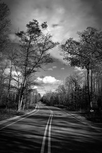 Empty road with trees in background