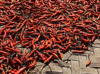 High angle view of red chili peppers on wood