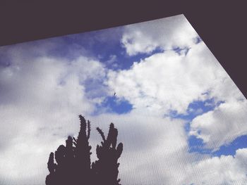 Low angle view of tree against sky