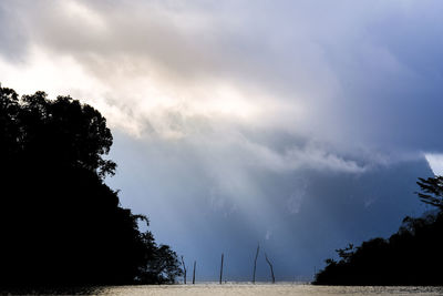 Silhouette trees on field against sky