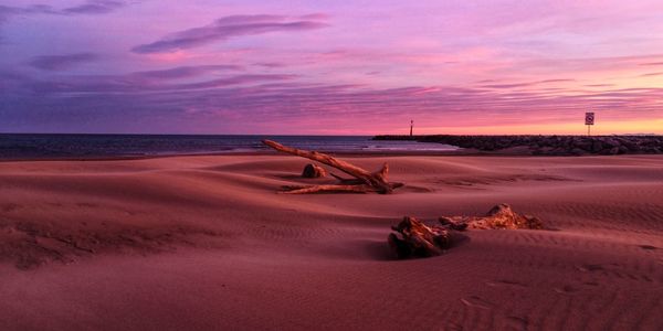 Driftwood on beach against sky during sunset