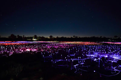 Illuminated purple flowers on field against sky at night