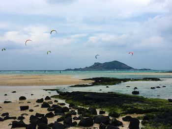 Paragliders sail above the light blue waters and black volcanic rock of jeju island south korea