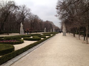 View of flower trees against sky