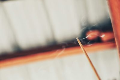 Close-up of cropped object