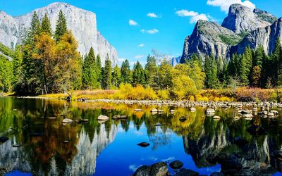 Scenic view of lake by trees against sky