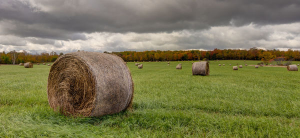 Hay bales on landscape against sky