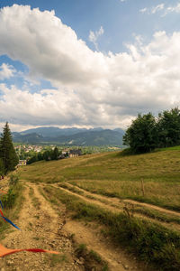 Scenic view of field against sky