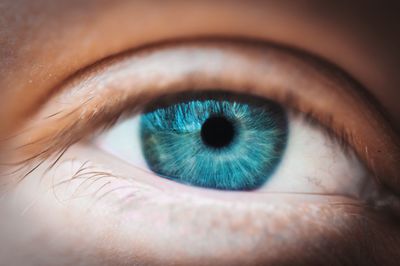 Close-up of blue eye