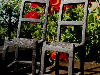 Close-up of flowers on chair