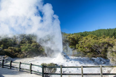 Lady knox geyzer in wai-o-tapu, new zealand