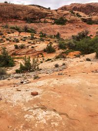 Scenic view of arid landscape