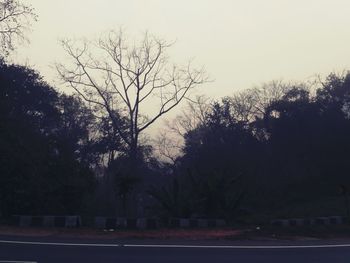 Road by trees against sky