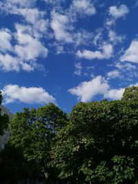 Low angle view of trees against sky