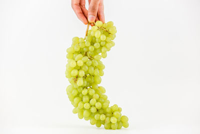 Midsection of person holding grapes against white background