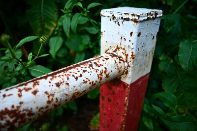 Close-up of rusty metal on wood