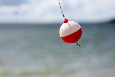 Close-up of strawberry hanging over sea against sky