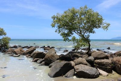 Scenic view of sea against sky