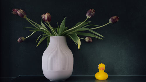 still life photography