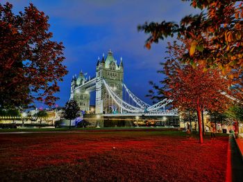 View of park with autumn trees in city