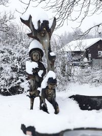 Low angle view of bare trees on snow