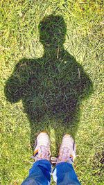 Low section of person standing on grassy field