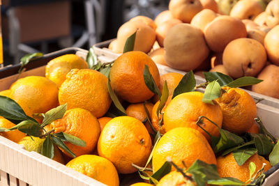 Close-up of fruits for sale in market