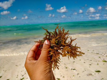 Midsection of person hand on sand at beach