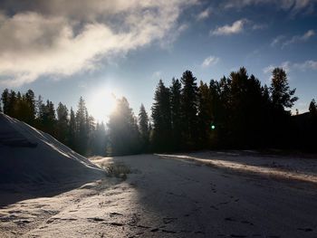 Trees on snow covered landscape against sky