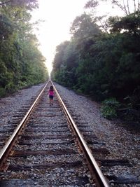 View of railway tracks along trees