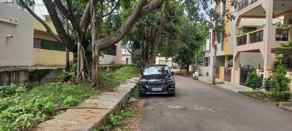 Road amidst trees and buildings in city