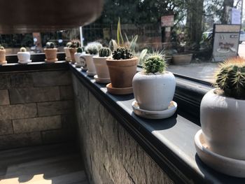 High angle view of potted plants on table in balcony