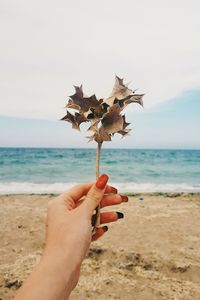 Close-up of woman hand holding sand at beach against sky