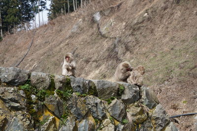 Two people sitting on rock