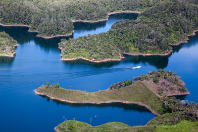 Scenic view of lake and trees in forest